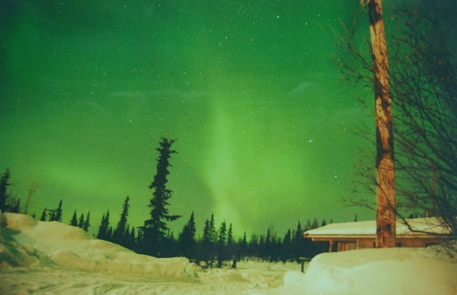 Northern Lights in The Yukon